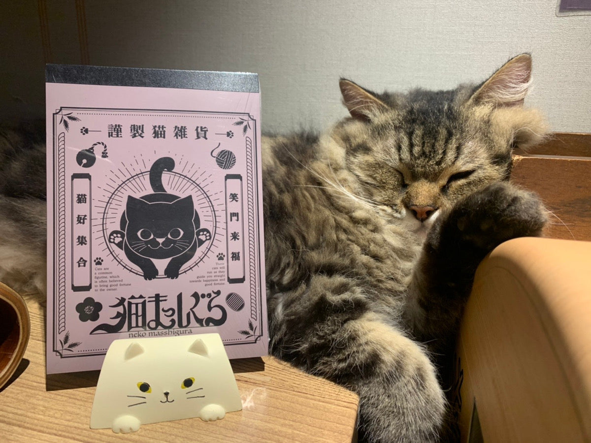 猫まっしぐら Archives - Page 2 of 6 - コラム