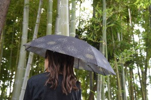 おしゃれさんに人気 バンブーハンドルの日傘をご紹介